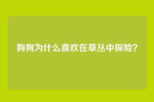狗狗为什么喜欢在草丛中探险？