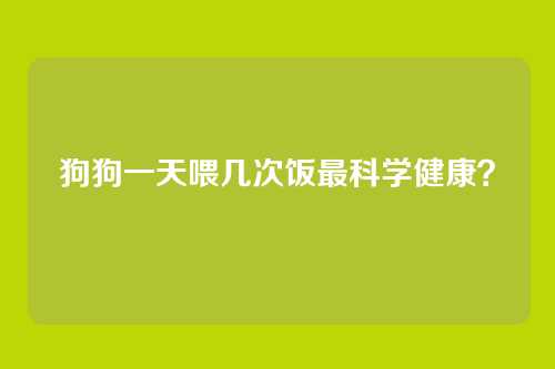 狗狗一天喂几次饭最科学健康?