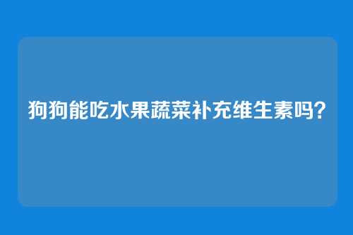 狗狗能吃水果蔬菜补充维生素吗？