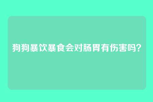 狗狗暴饮暴食会对肠胃有伤害吗？