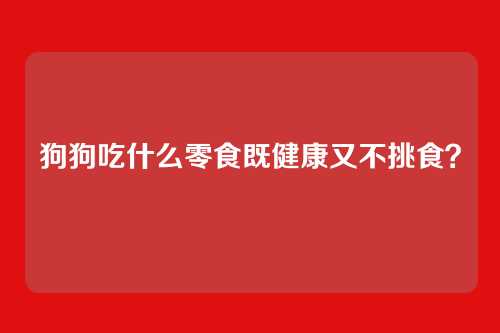 狗狗吃什么零食既健康又不挑食？