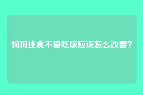 狗狗挑食不爱吃饭应该怎么改善？