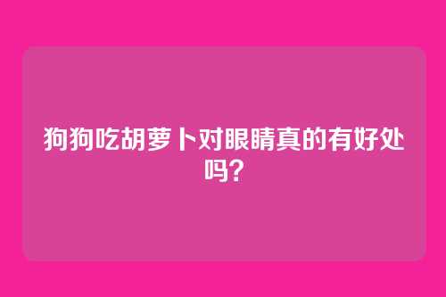狗狗吃胡萝卜对眼睛真的有好处吗？