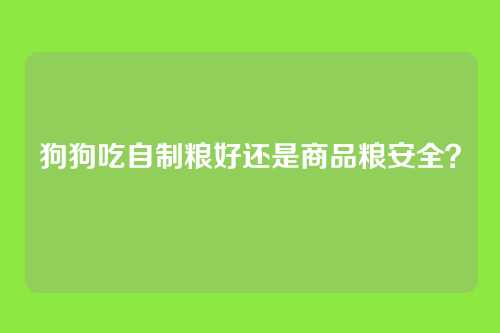 狗狗吃自制粮好还是商品粮安全？