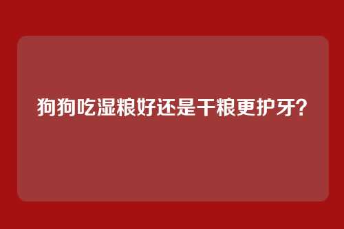 狗狗吃湿粮好还是干粮更护牙？