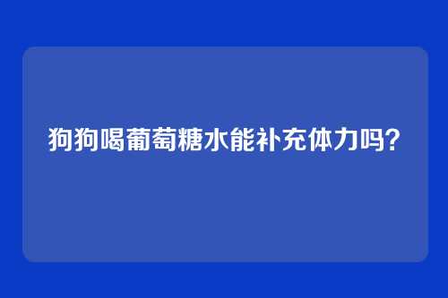 狗狗喝葡萄糖水能补充体力吗?
