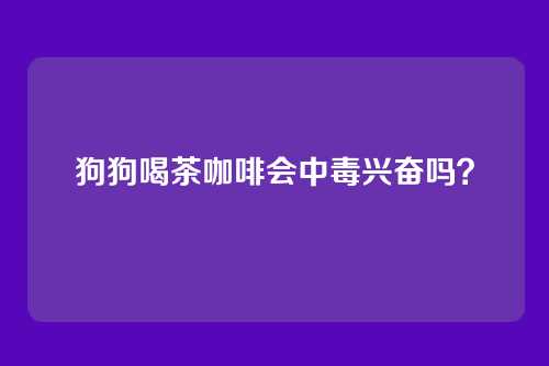 狗狗喝茶咖啡会中毒兴奋吗？