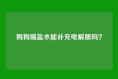 狗狗喝盐水能补充电解质吗？