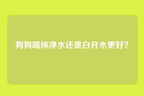 狗狗喝纯净水还是白开水更好？