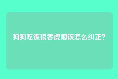 狗狗吃饭狼吞虎咽该怎么纠正？