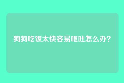 狗狗吃饭太快容易呕吐怎么办？