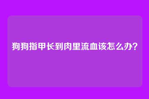 狗狗指甲长到肉里流血该怎么办？