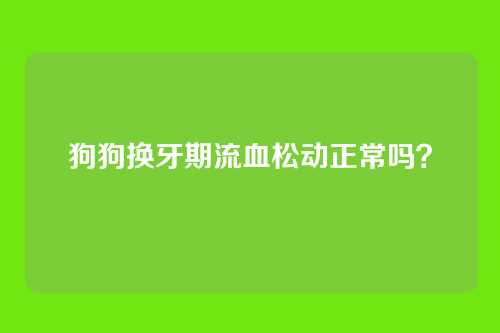 狗狗换牙期流血松动正常吗？