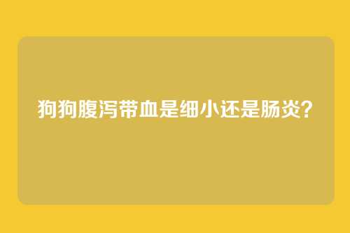狗狗腹泻带血是细小还是肠炎？