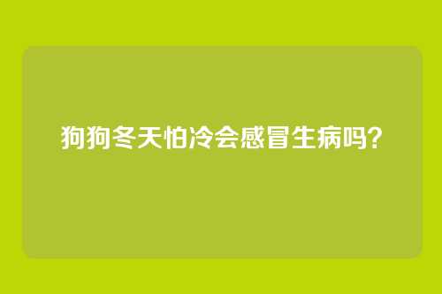狗狗冬天怕冷会感冒生病吗？
