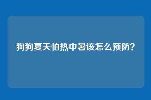 狗狗夏天怕热中暑该怎么预防？