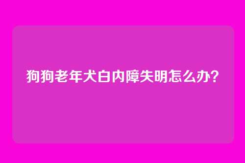 狗狗老年犬白内障失明怎么办？