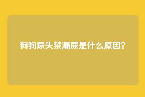 狗狗尿失禁漏尿是什么原因？