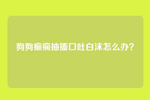 狗狗癫痫抽搐口吐白沫怎么办？
