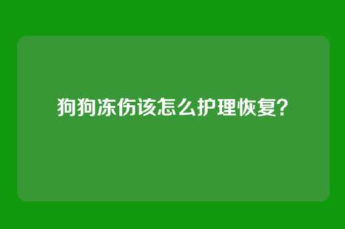 狗狗冻伤该怎么护理恢复？