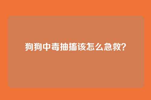 狗狗中毒抽搐该怎么急救?