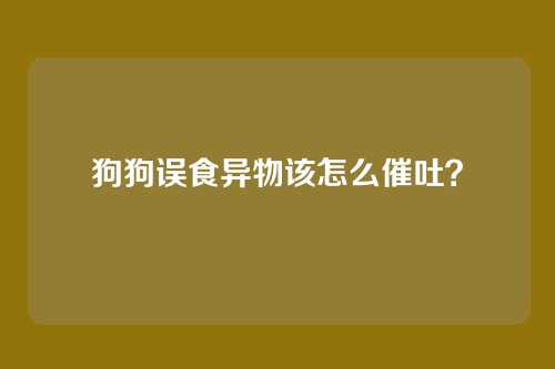 狗狗误食异物该怎么催吐？