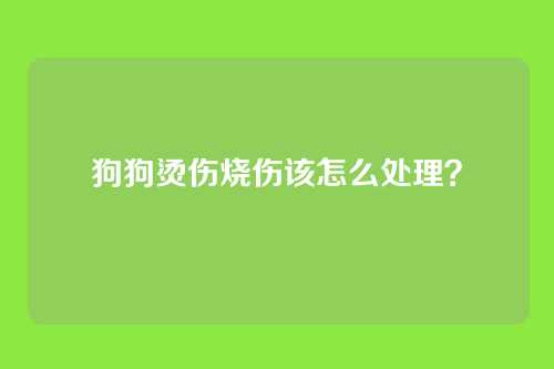 狗狗烫伤烧伤该怎么处理？
