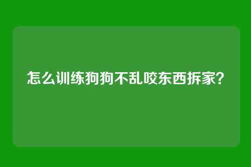 怎么训练狗狗不乱咬东西拆家？