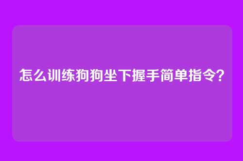 怎么训练狗狗坐下握手简单指令?