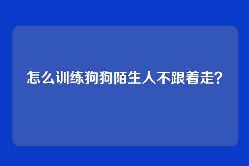 怎么训练狗狗陌生人不跟着走?