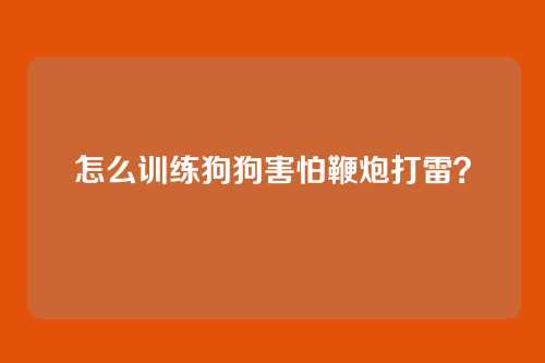 怎么训练狗狗害怕鞭炮打雷?