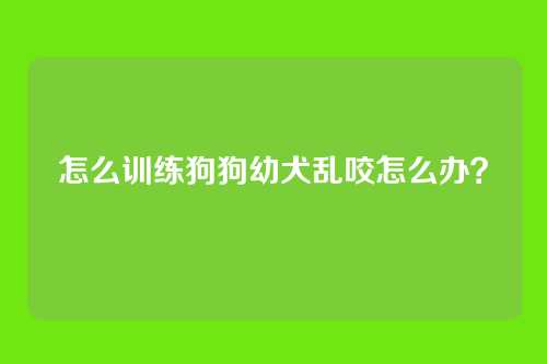 怎么训练狗狗幼犬乱咬怎么办？