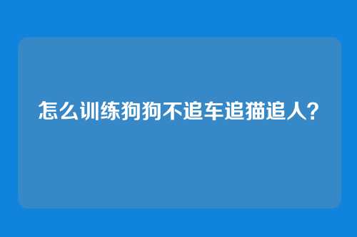 怎么训练狗狗不追车追猫追人?