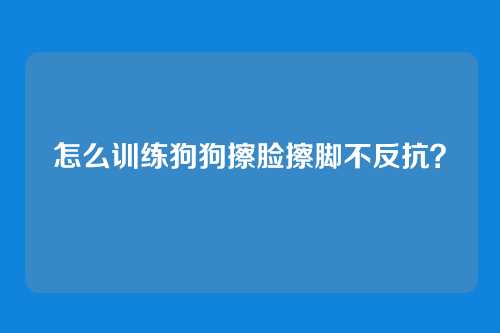 怎么训练狗狗擦脸擦脚不反抗？