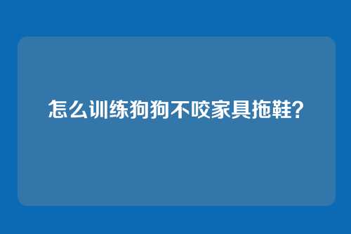怎么训练狗狗不咬家具拖鞋?