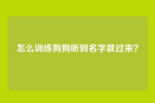 怎么训练狗狗听到名字就过来?