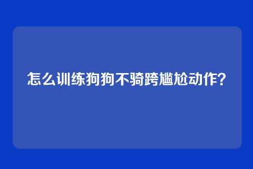 怎么训练狗狗不骑跨尴尬动作?