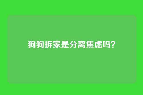 狗狗拆家是分离焦虑吗？