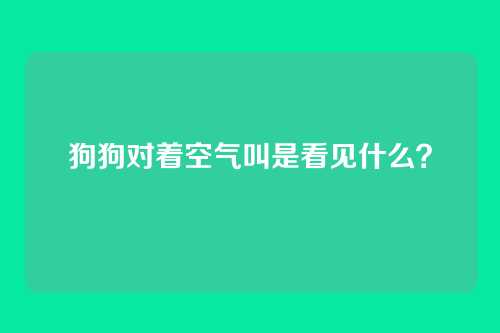 狗狗对着空气叫是看见什么？