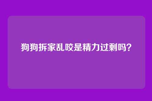 狗狗拆家乱咬是精力过剩吗？