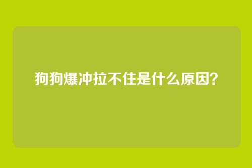 狗狗爆冲拉不住是什么原因？