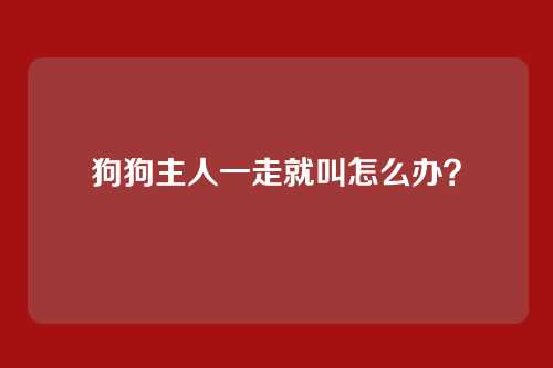 狗狗主人一走就叫怎么办？