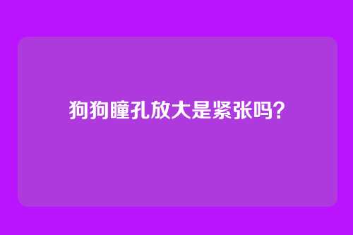 狗狗瞳孔放大是紧张吗？