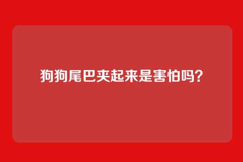 狗狗尾巴夹起来是害怕吗？