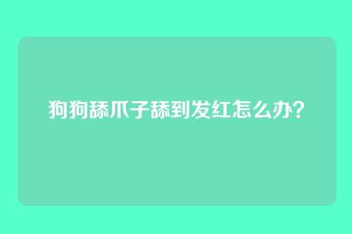 狗狗舔爪子舔到发红怎么办？
