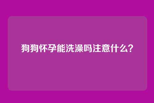 狗狗怀孕能洗澡吗注意什么？