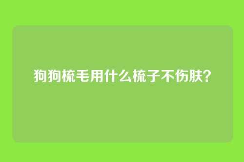 狗狗梳毛用什么梳子不伤肤？
