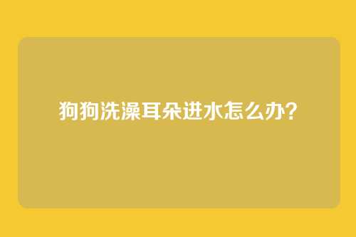 狗狗洗澡耳朵进水怎么办？