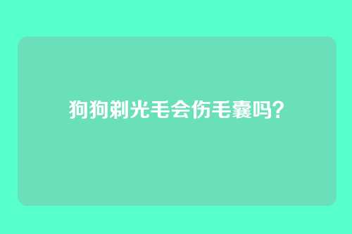 狗狗剃光毛会伤毛囊吗?