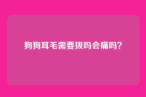 狗狗耳毛需要拔吗会痛吗？
